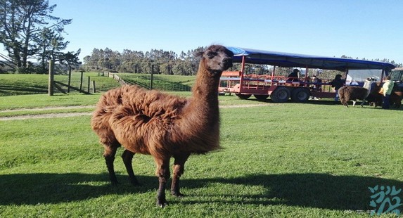 �����ũ������