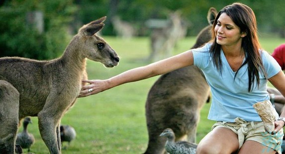 ����˹�������