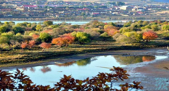 �ػ�������